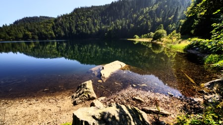 Wallpapers nature 22 3