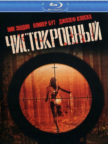 Чистокровный