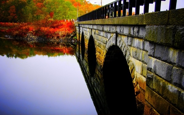 Incredible Nature Wallpapers