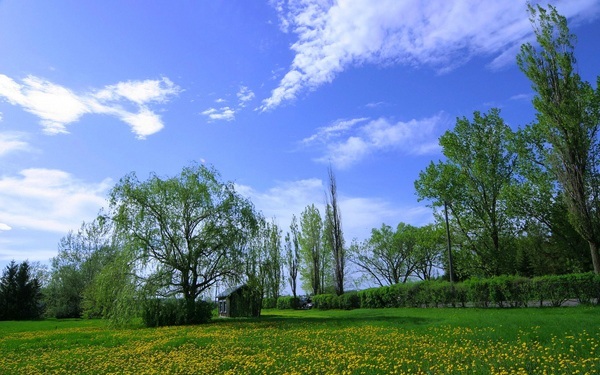 Incredible Nature Wallpapers
