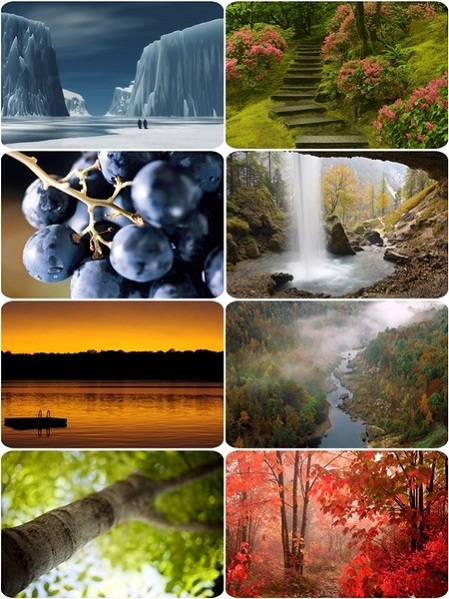 Incredible Nature Wallpapers