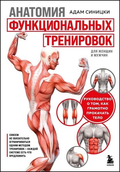 Адам Синицки. Анатомия функциональных тренировок. Руководство о том, как грамотно прокачать тело